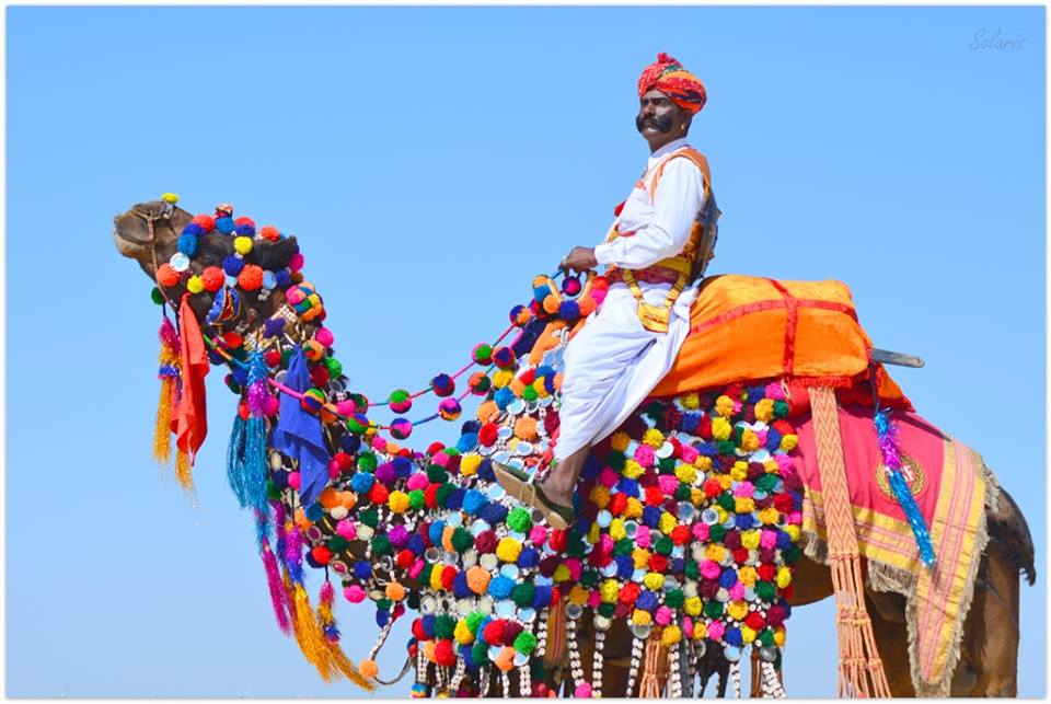 12936649_10153958693395781_5242780658813072755_n