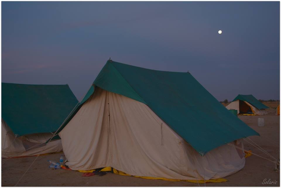 13417507_10154108495170781_3085853791380946041_n