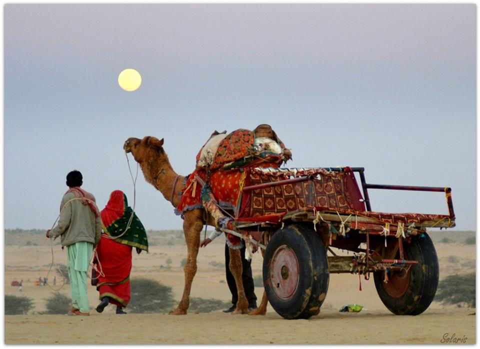 13442215_10154108486145781_6684180460191581037_n