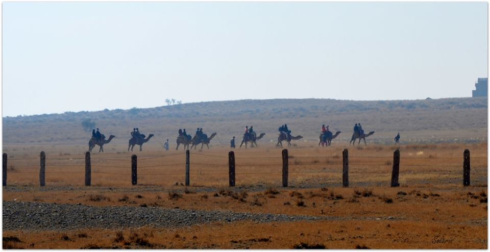 13445629_10154108489435781_5472524905408951164_n