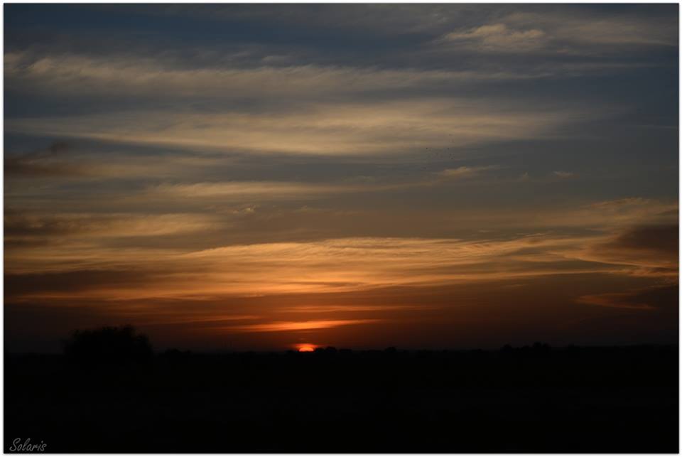 13450932_10154108495350781_3732961510288229874_n